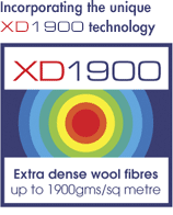 XDlogo